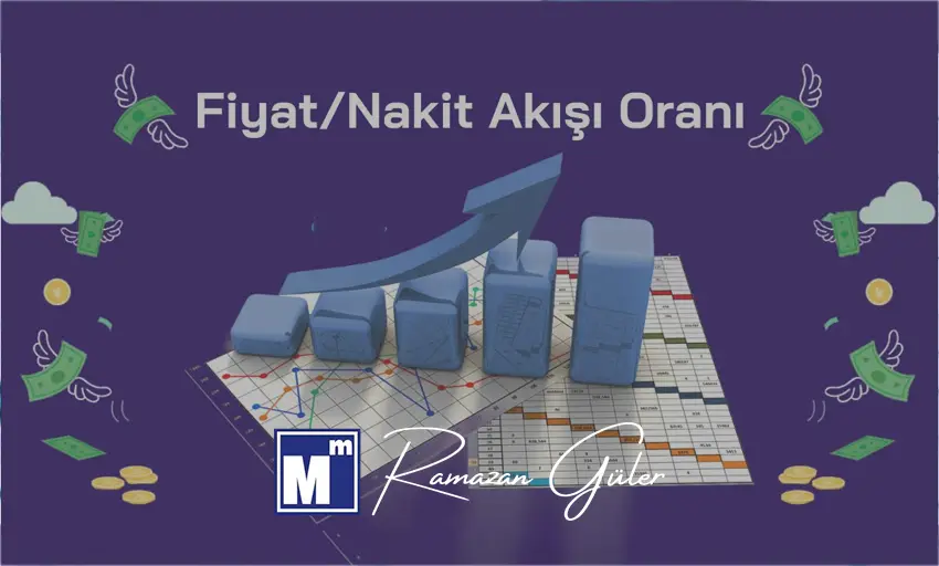 Nakit Akış Danışmanlığı Ankara: 13 haftalık model, tahsilat ve vade optimizasyonu