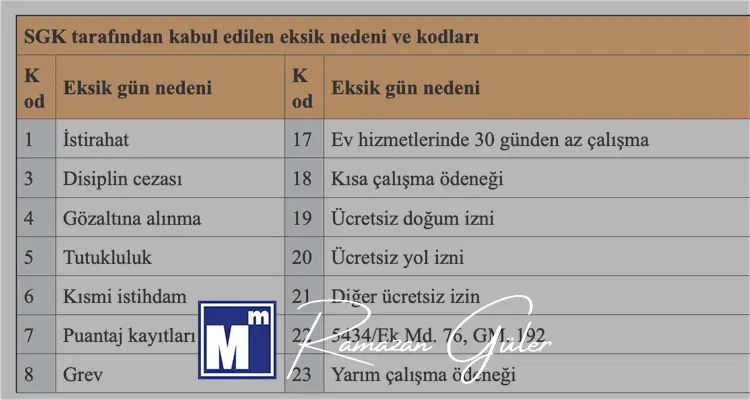 Eksik gün kodları 2025 özet tablosu
