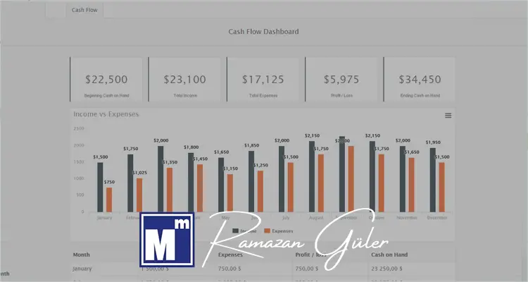 Nakit akışı dashboard ve haftalık sapma analizi